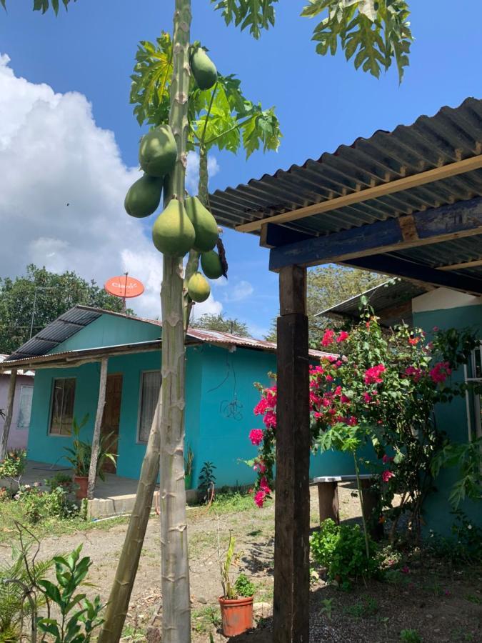 Villa Alba House Puerto Jiménez Exterior foto